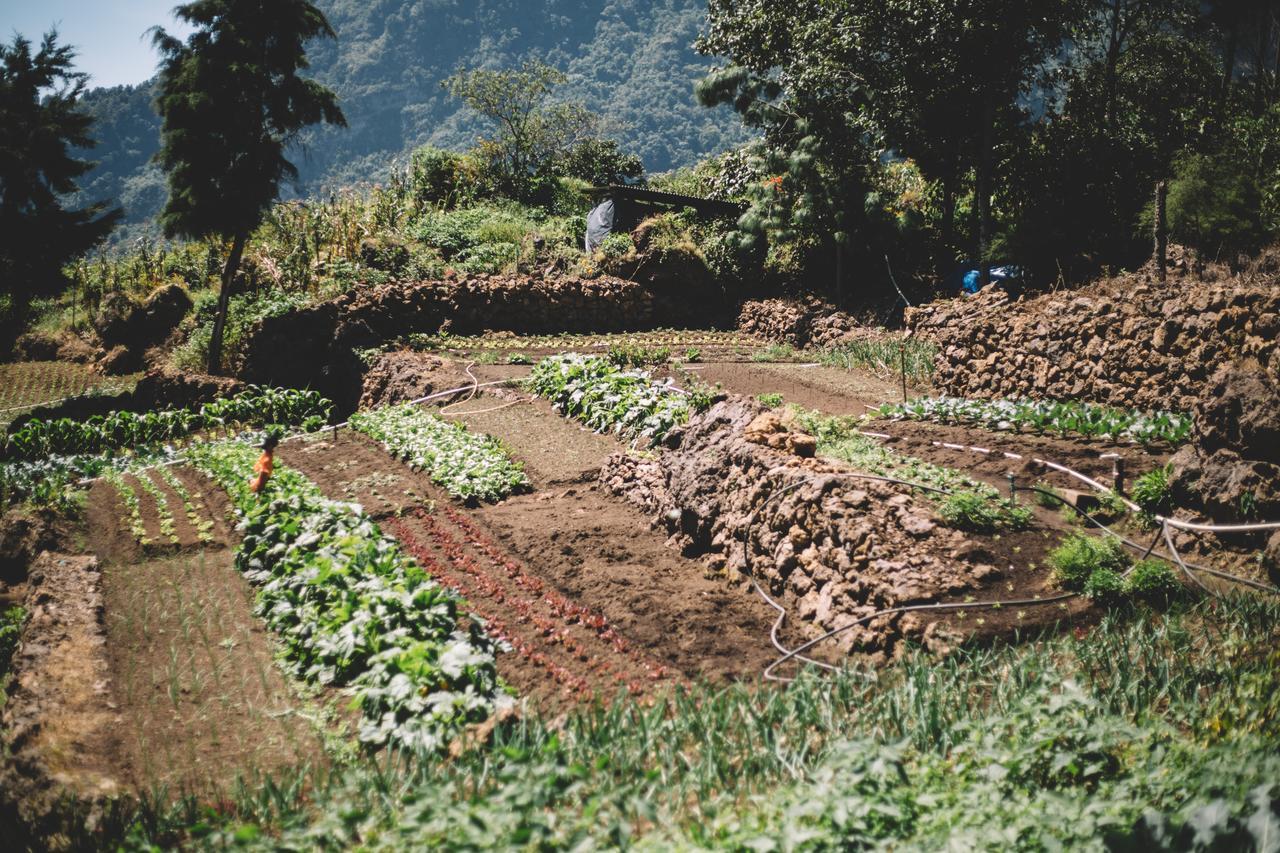 Las Cumbres Eco-Hotel, Termalismo Y Spa Quetzaltenango Zewnętrze zdjęcie